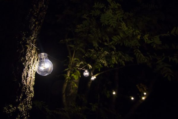 Comment amener de la lumière au jardin ?